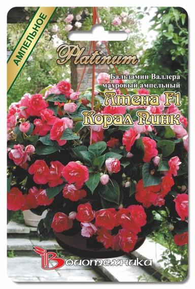 ������� ���� �� �������.������ ���*�������.����� 7 