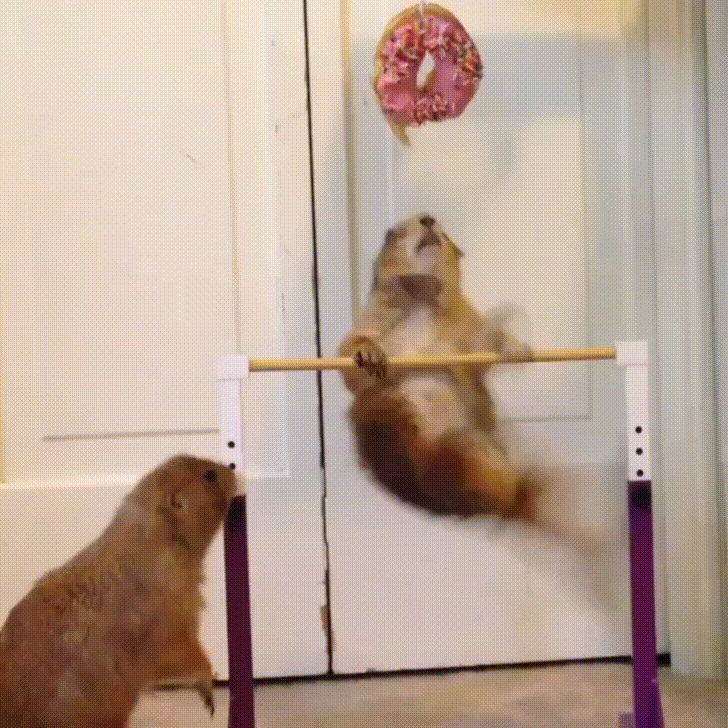 ��� ����� ������������ �� ����������