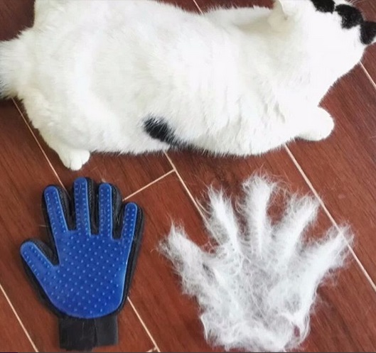 ������ ��� ������� ����� �������!