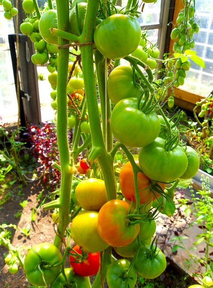 ���� �� 10.02. ������ ������� ������ 10. ����� ������� ������ (������� ������ ��������), ��������� �����, �������� �����. ������, �����, �� ����������� ������ (����� ���������), ������� ������� ��� ���������, ���������� �������, ����������� � ��