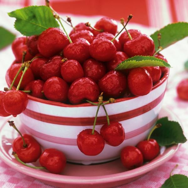 ���� ������� �� 21.02 - ���o��r�� �o�ck - ������� ������ � �������� ���! - �������� �������, ����������, ���������� � ������ ������- 2- 2018