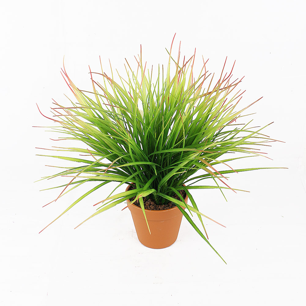 ����������� ������������� �������� � �������, ����������� �����, �������� ��� � �ݣ ������ �������� �������!-31 