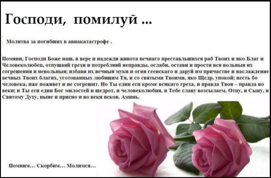 ������  ������ ...