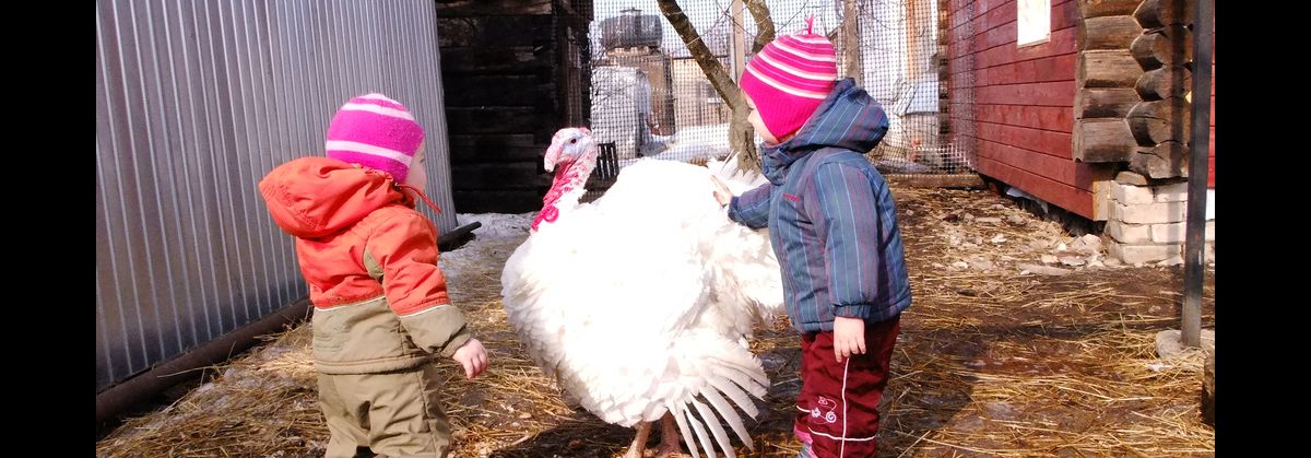 ���������� ��������� ��������� 3-� ������� ������ ���-�������, �������