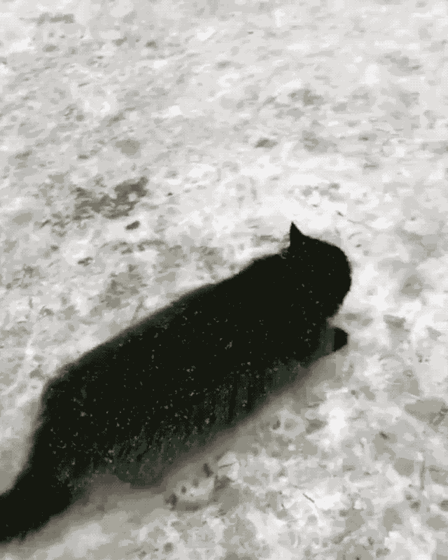 ������� �� ���������