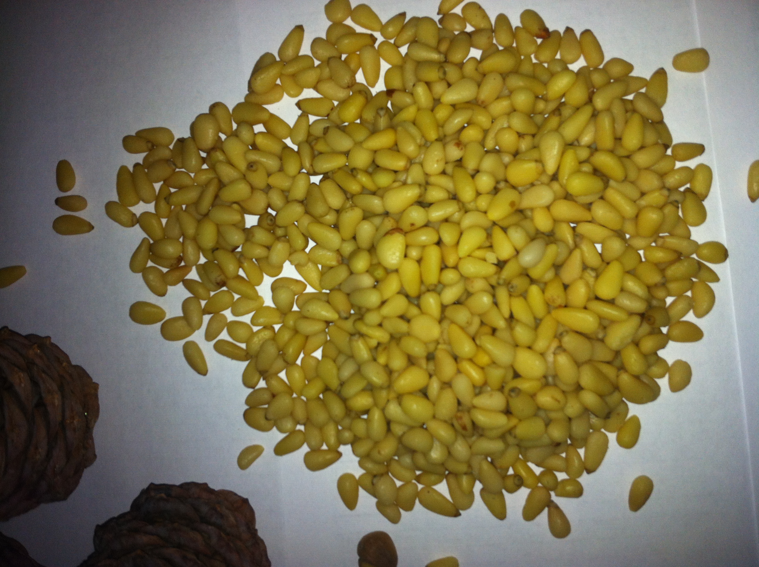 �� �������, ���  