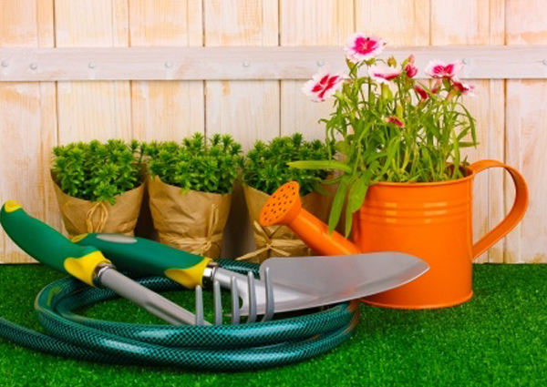 ��� ��������! �ӣ ��� ������� � �������� ��������! �ӣ ��� �������. ���������, ����. ��������, ��������� �����, ������, ��������� �������, �����, ����� � ��. 