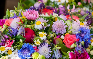 �������! ������ �� ���� (����� 150���!), ��������� ��������, ������� � ����, ����� �����, �������, ����������� �������� ���������� ��� �����!