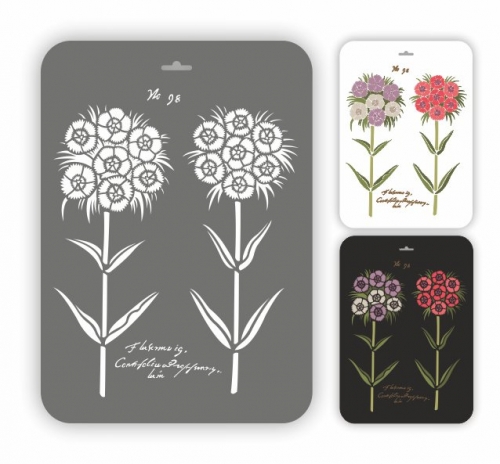 ���� �������. ��������� ����������, ����������� � ��� ����������. ��� ������ - �������� �����.