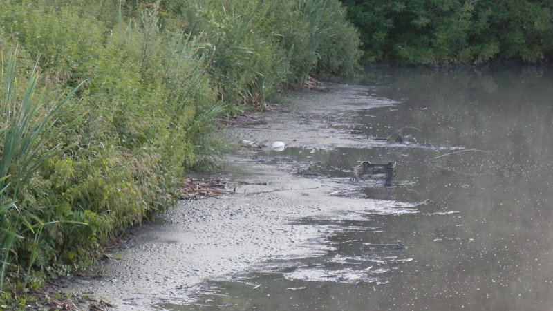 ����������� ���� ������� � ������ ���������� ������������� �������