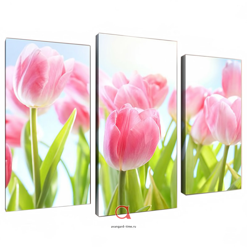 ���� �������.���� ��������� ,���������� ,����������, ���������.����� �������� ����� ����� �� ����� ������ �����!�������� � ������ ���������, �� ����� ���� � ������� !������� ����-�������, ��������� �������.��� 28