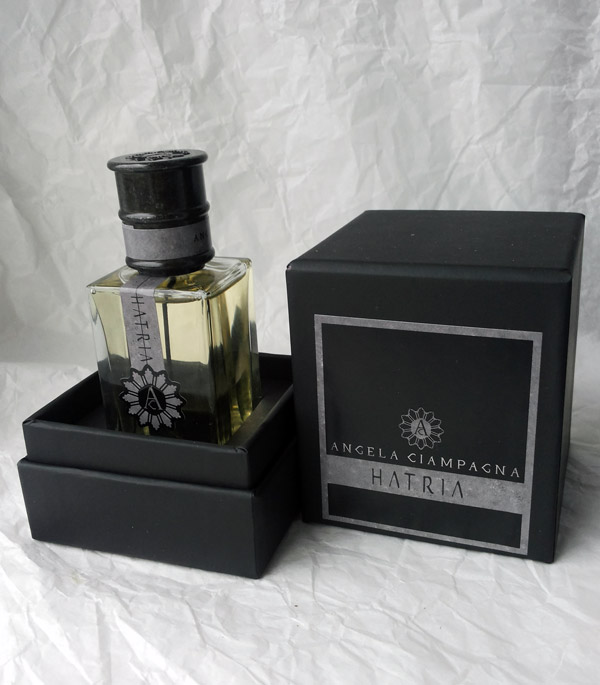 ���� ������ �������� �� ������� ������� ����������