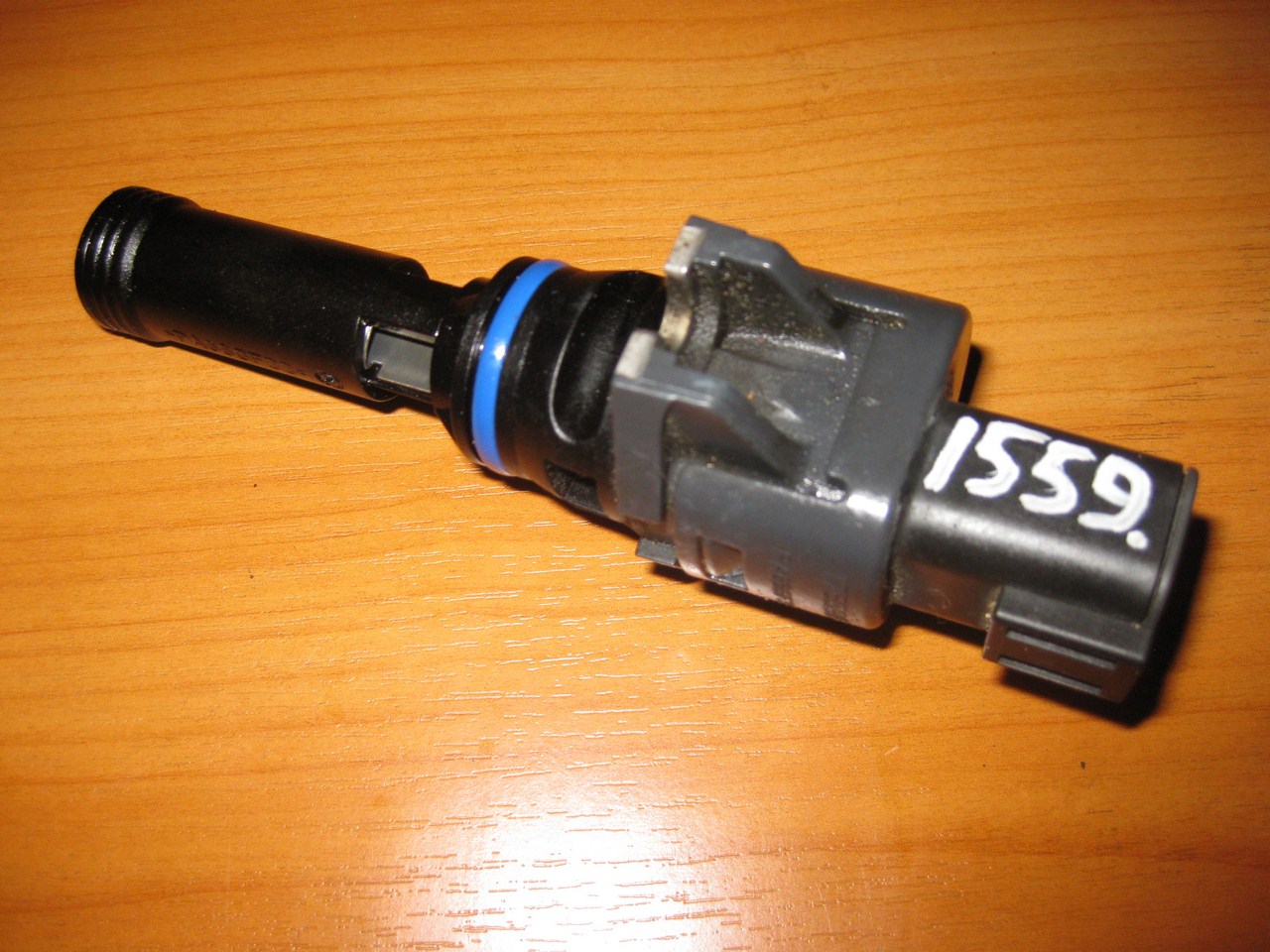 ������������� ������� (����� ���������� �������) 1559