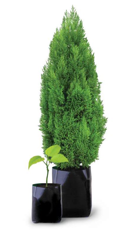 ���� �� 28.02.������������ ������ ��� ����������� �������.