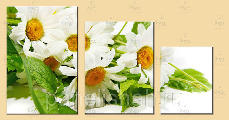 [b] ���� �� 26 �����. ��������� ������� �� ��������� ����������: �����, ������� [b]