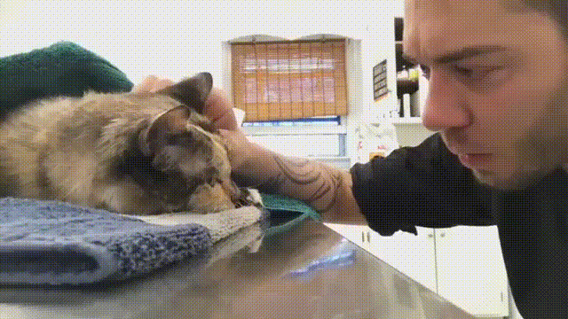 ��� ����� ������? ������� ��������� �� ����� ��������� ������, � ������� �� ������ 13 ���.