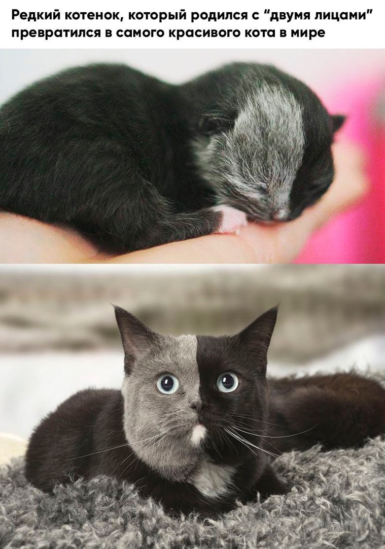 ������� ����