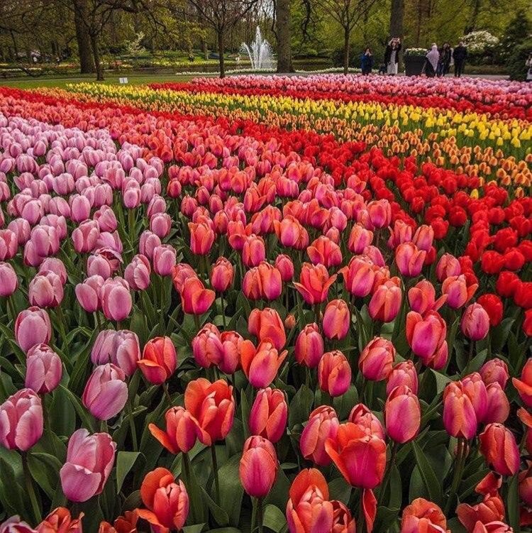 �� ����� �������� 2 ���