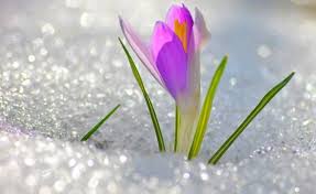 ��� � �������.���� �� 03.03.���������� �������� �� �������� �����! �������� � �������. ������� � �������. �����, ������, �����. ������ �� 70%