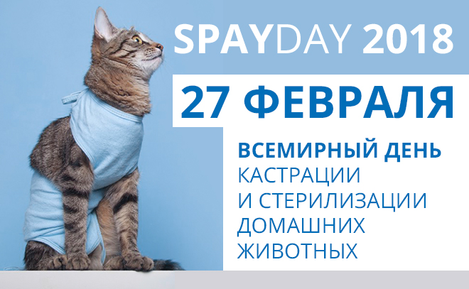 27 �������