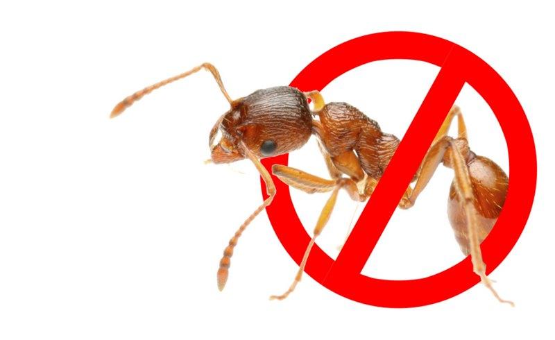 ����� � 1 �� 10 �����  ��������� �� �������� ����� �������� 2000�