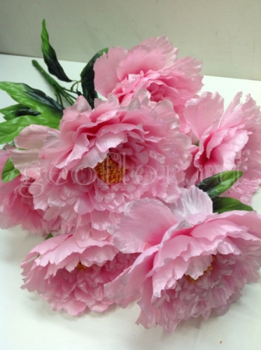  ���� �� 15.03. ������������� ����� , ������ �� 8-50, ��������� �����-7-50. ����� ��������� �������� �� �������������! 