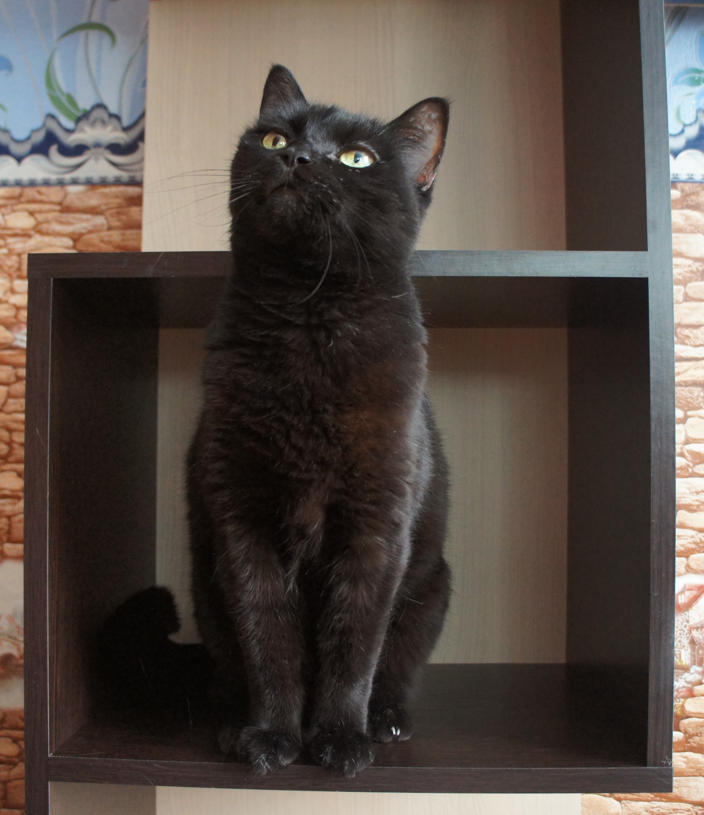 ���� ��������� �������� ����� ����� �������, 1 �����, ����������� 13 ���. � ���� �������� � ������ ��� ����� � ��������!