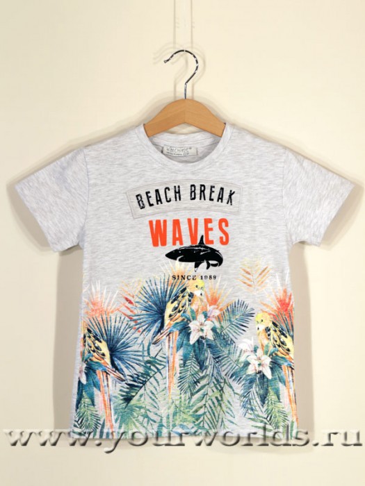 ���� �������. ������ �������� �������� ��� �����.��������.���������� .