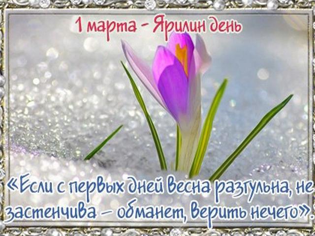 � ����������!