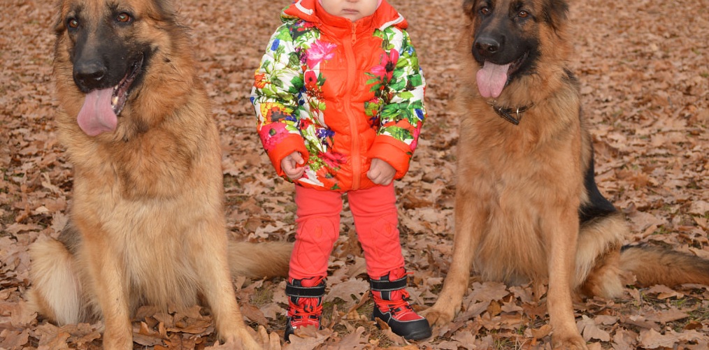 �������, ������� � �������� ������ � ������ �� ����� �� ������� �� ���� � ������� 10% + ��� ���������( ���� ������)