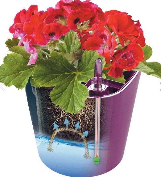 ���� �������. ������ ��� ������� � ������! ������������ ������ �� �������������, ����������, ������� � ������ �������, �����, ����������, ������ ��� ������� � ������, ��������� ��� ����!