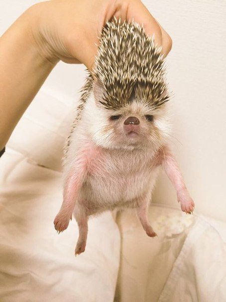 ���, ��� ����� �� �����