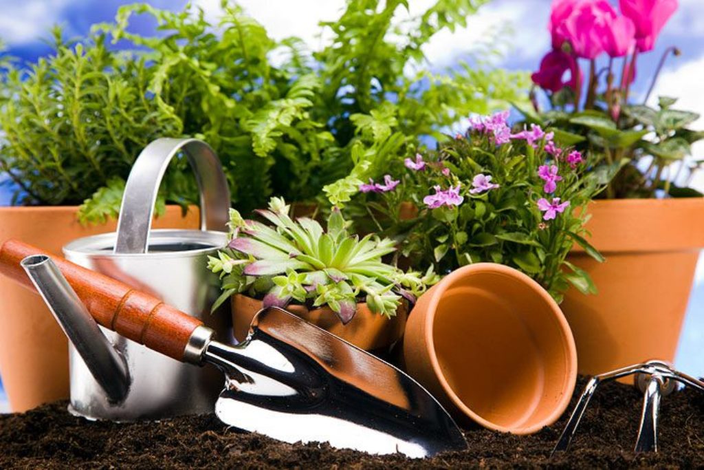 ���� �������. ���������, ���������, ������, ������� ���������� � ������ ������ ��� ����, �������.2/18