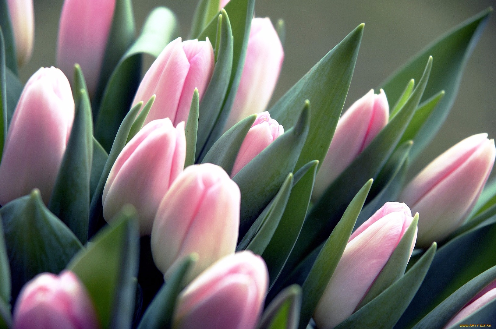 � ���������� 8 �����!