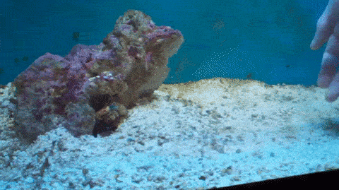 ��� ��� ������� ��������� ��������?