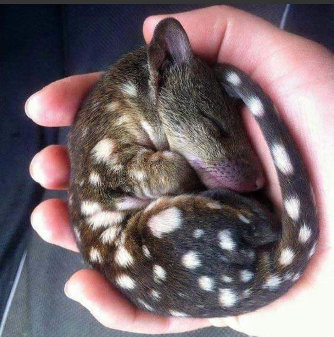 ��������������� �������� ������