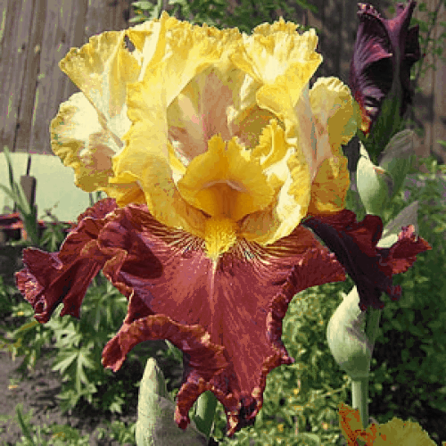 ���� �� 24 �����. �������� ���. ����� �� ����������� ��������� �� ��������� �� �������������. ��������� �� ���� 2018/2