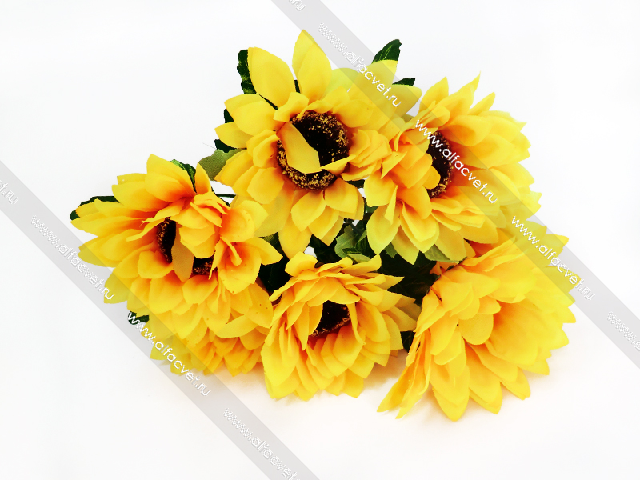 ���� �� 15.03 ������������� ����� �� 4 ���,������ ,������,������,���������� � ��