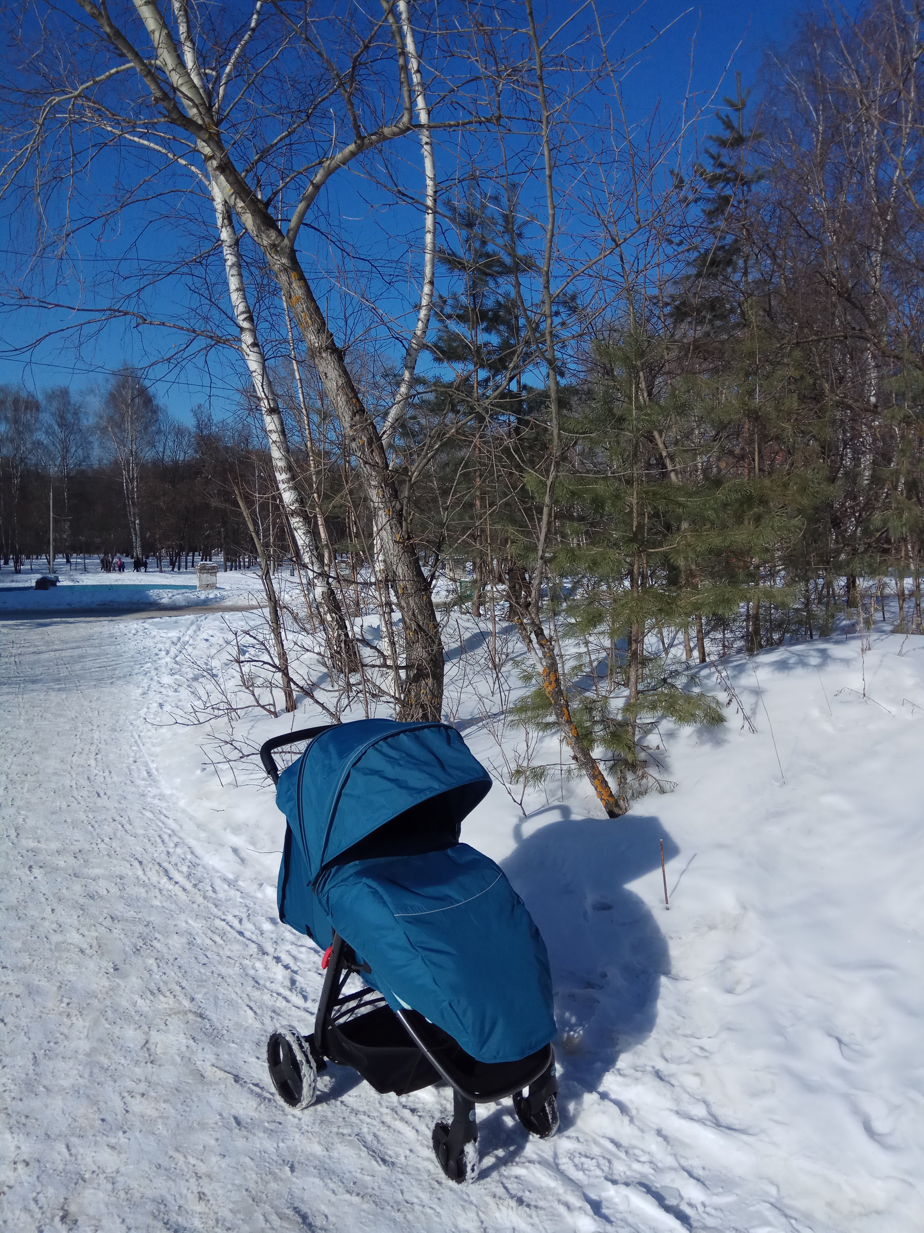 ����� � ������! ���� ��������! (�) ������� ������ ������! � �� ��������� ����� ������������ ��������! #���������� #����������������� #�������������� #����� #�������� #���� #������������ #����2018 #nofilters #�������_�����_� #petrova_maria_n 