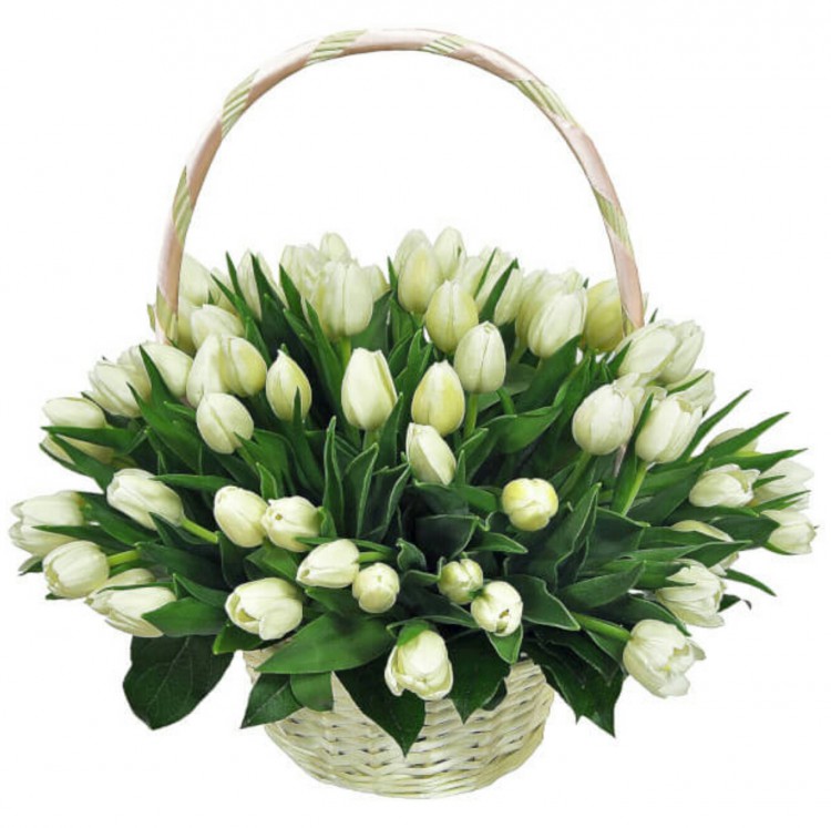 �������  ���� Se/lec/tive � Ba*rex. ���������!