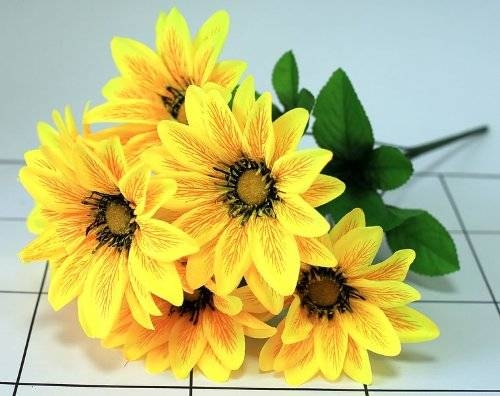 ���� �� 20.03.������������� ����� � ����� �� ������ �����. ����� �� 9 ������