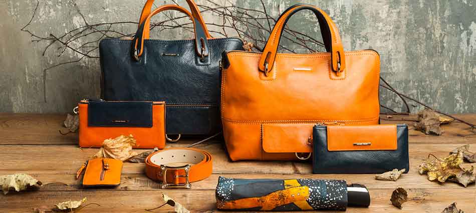 ���� �������. ��� �����������. ��������,�����,��������,�����,���������,�����,����,�������,��������,��������� ���������,�������� � ������ ������ � ����� ������� - 4