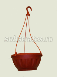 ������ ����! ��� ��� ����� ��������. ��������� ������, �������, �������, ������������, �������������, �����-��������, ����������� �������.