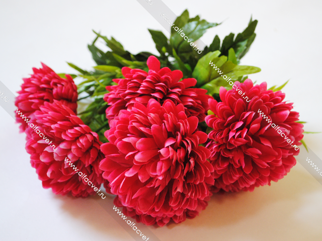 ������������� ����� � �����!