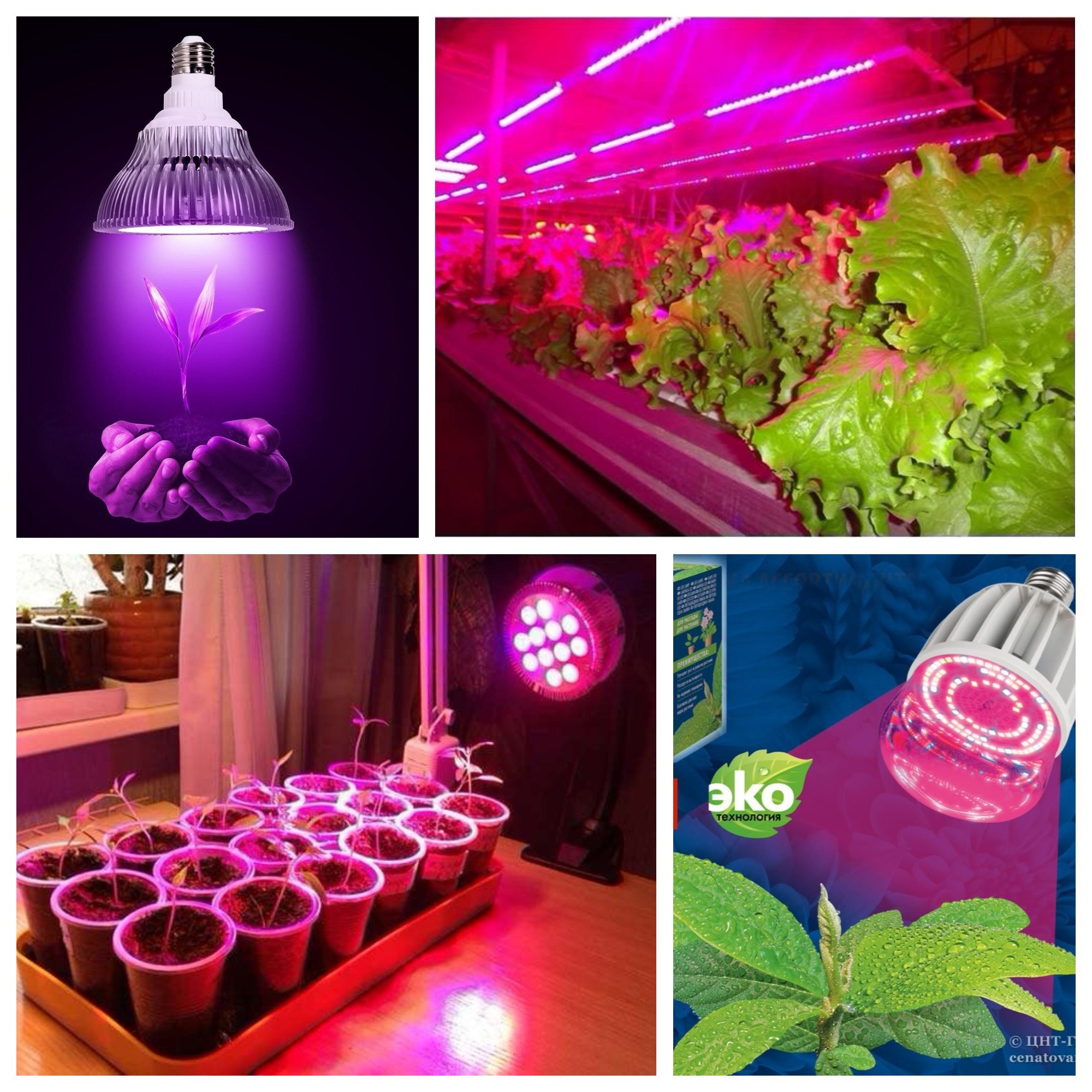 ���� �������. ����� � ����������� ��� ��� ��������, ������ � ��������� �������� � ��, � ��� �� ������ �������� ��� ���� � ���� 3/2018