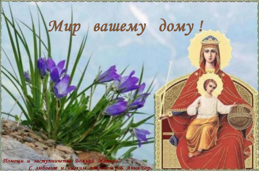 15 ����� .  ������������  ������� ��������� ������ ����� ������ ������ "���������".