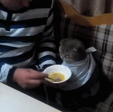 ������� �� ����, ������� �� ����