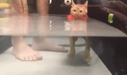 �������� ������