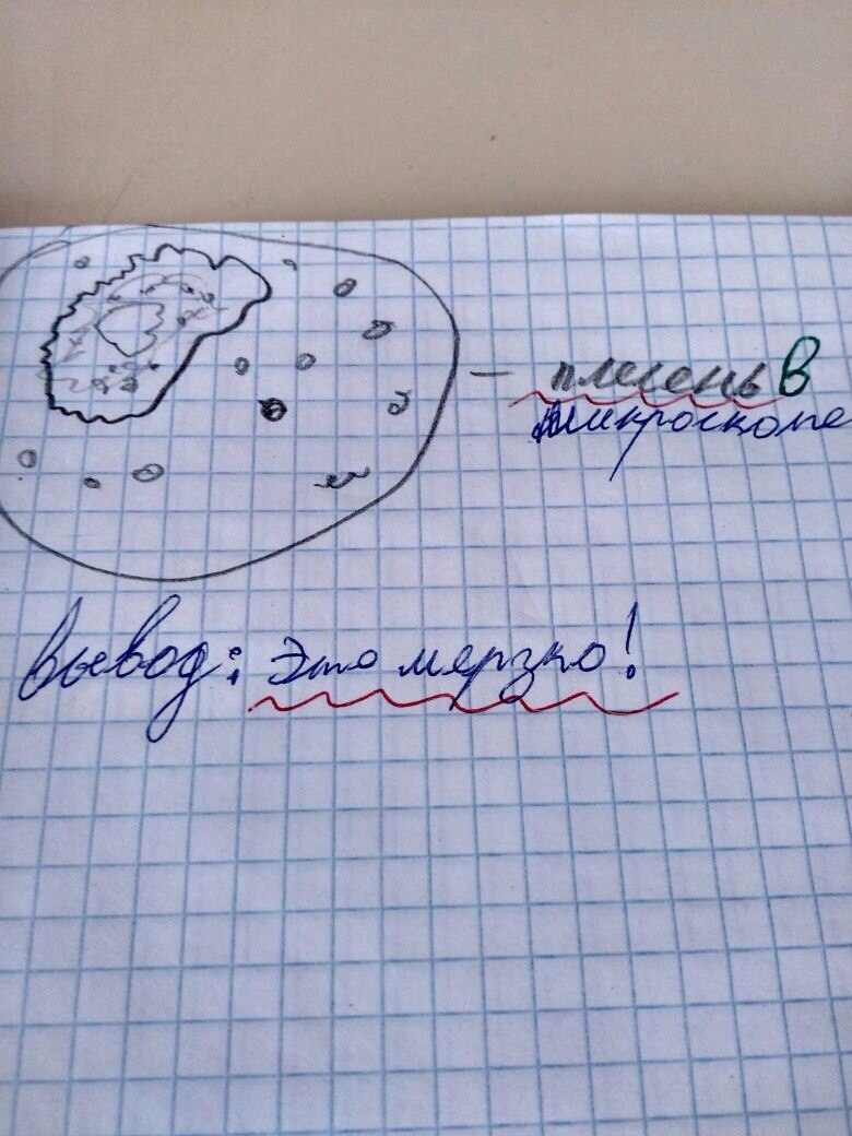 ������������ ������ �� �������� �� 5 �����