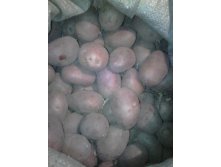 ������ ��������� ��� �������